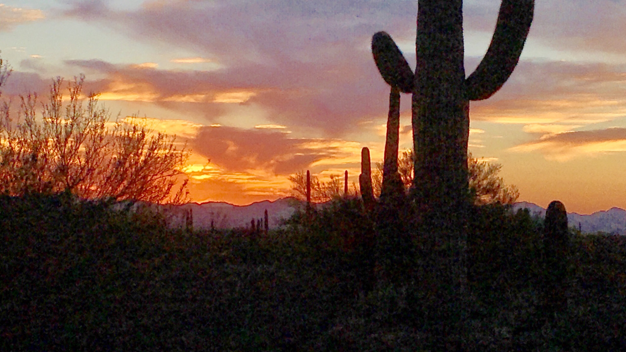 Tucson, AZ