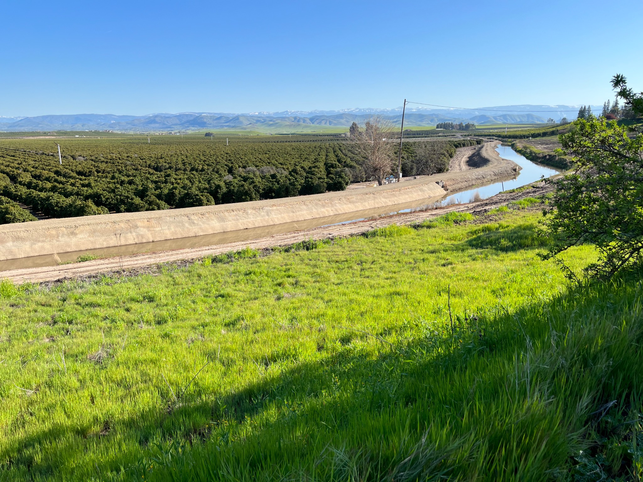 California