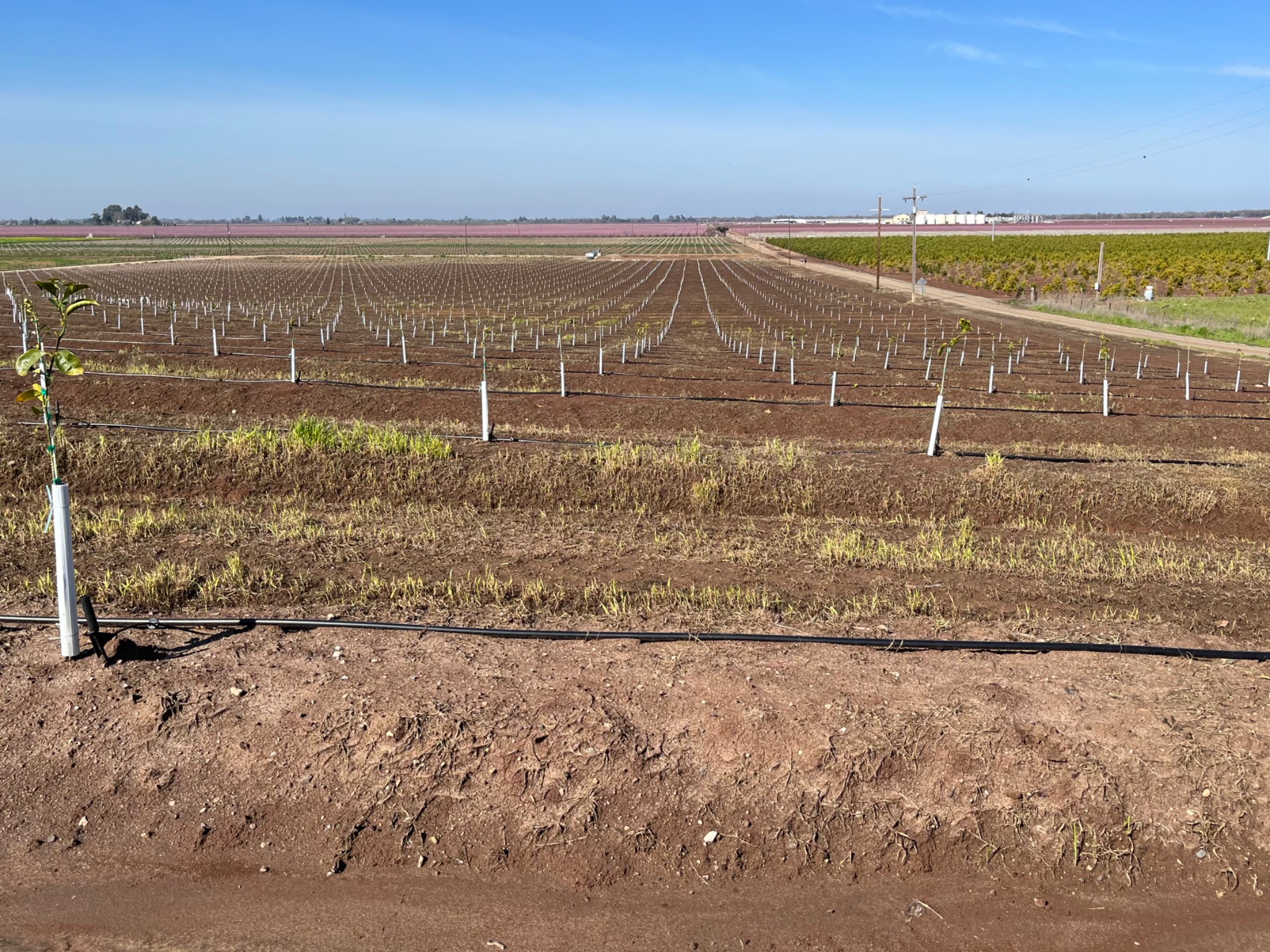 San Joaquin Valley