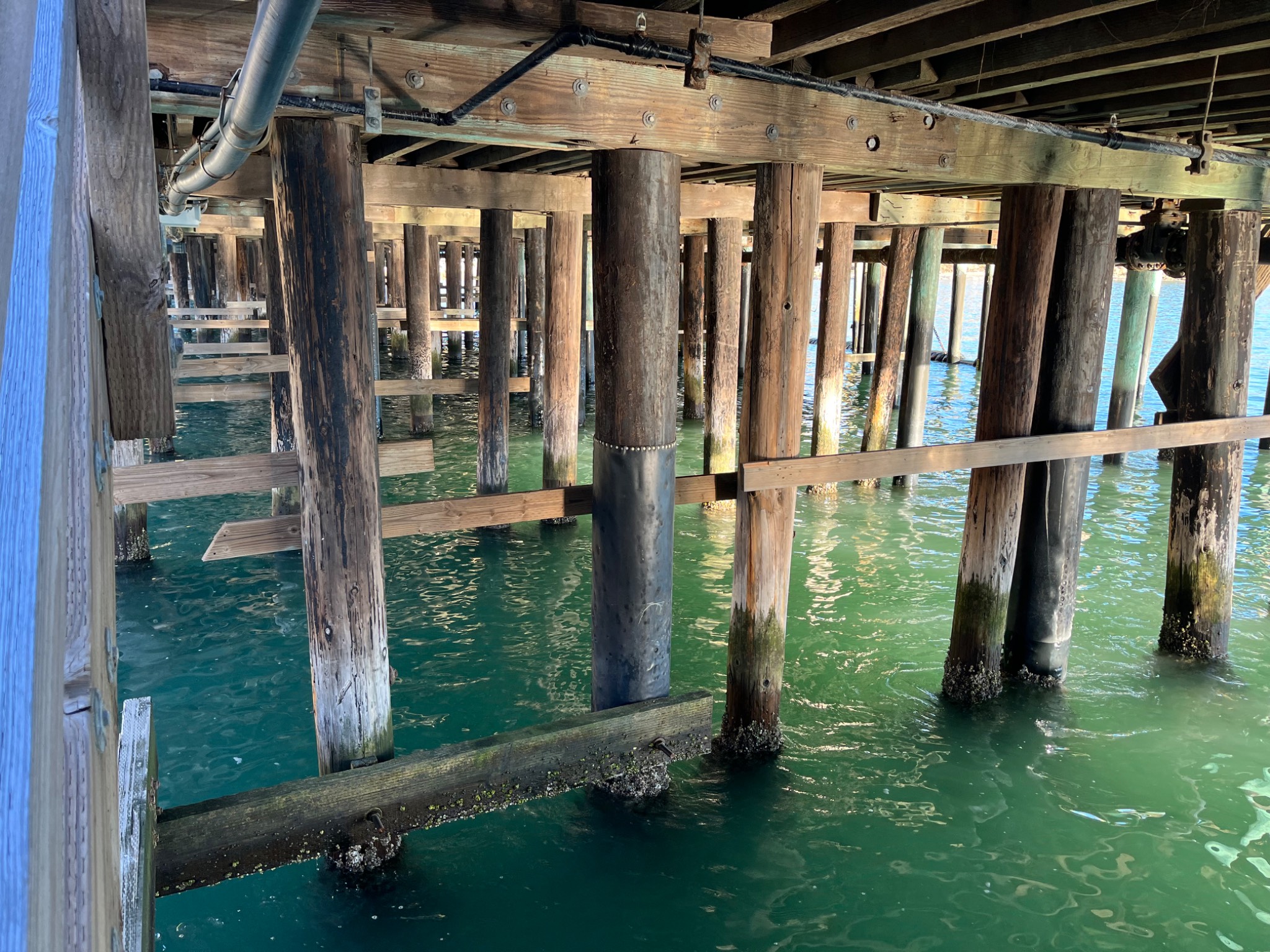 Port San Luis