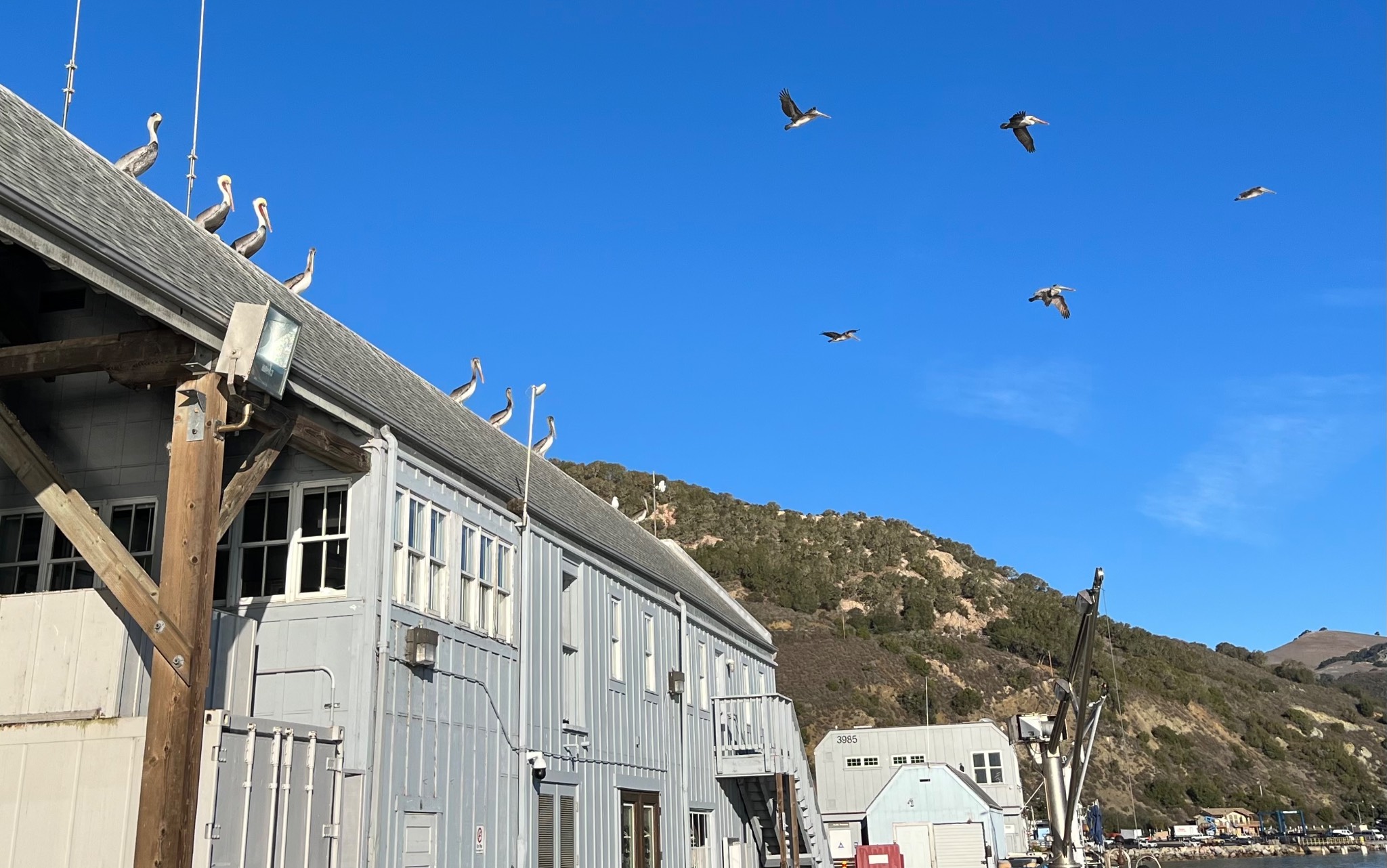 Port San Luis