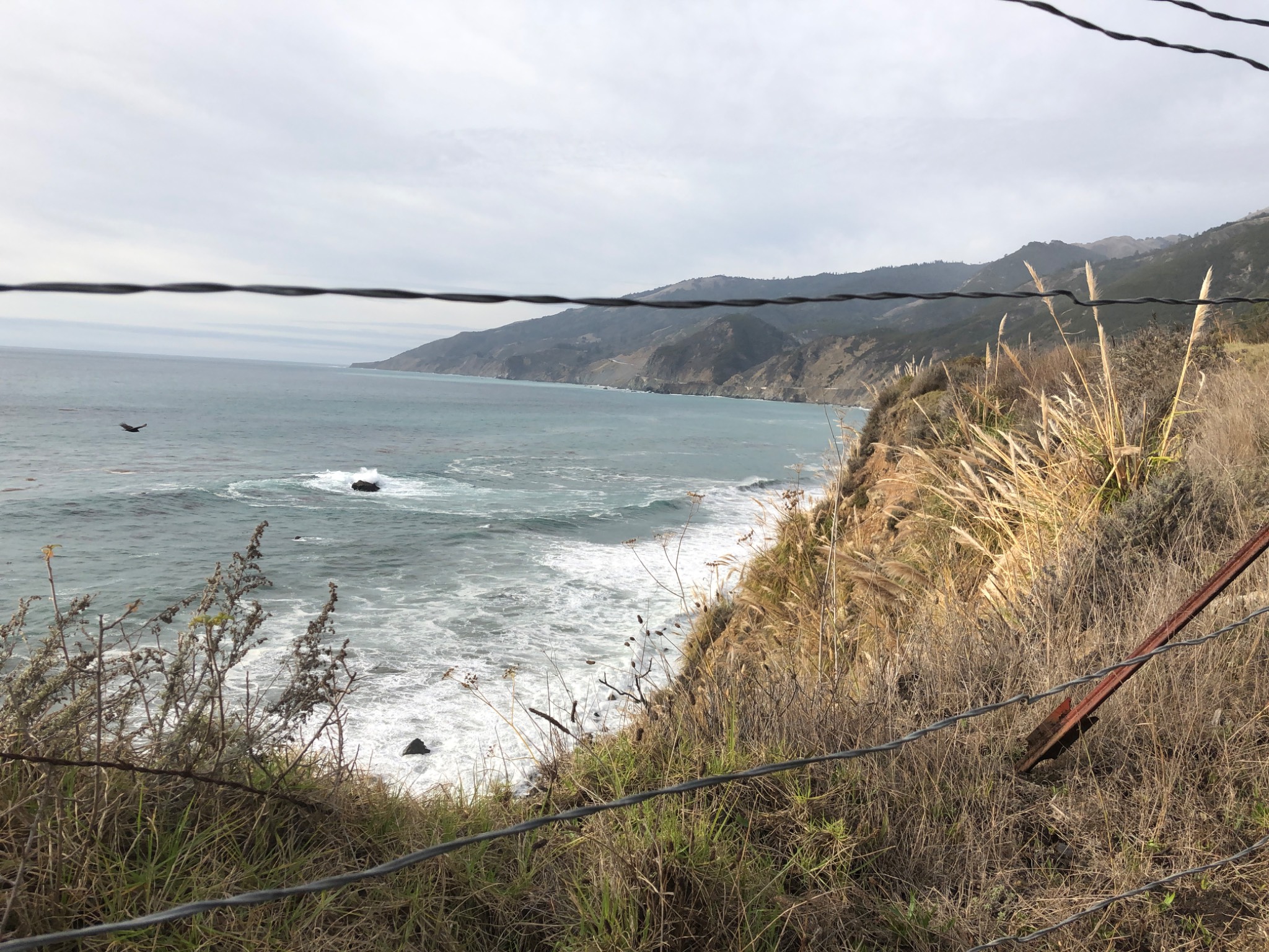Central Coast