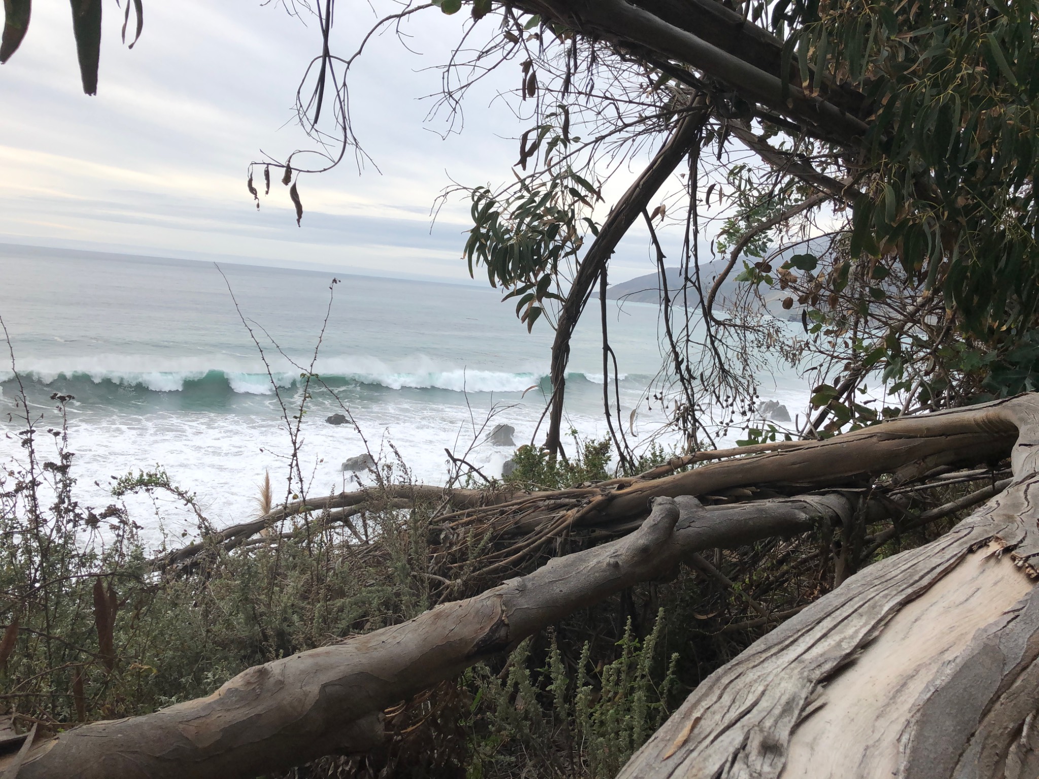 Central Coast