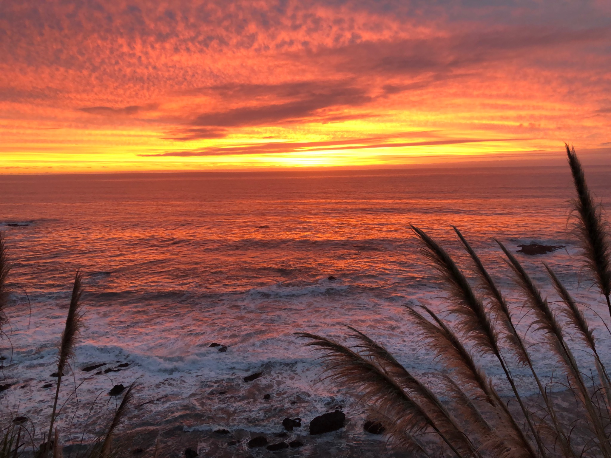 Central Coast