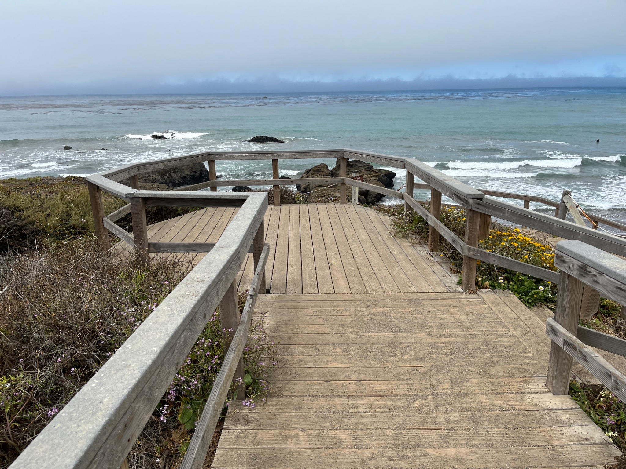 Cambria