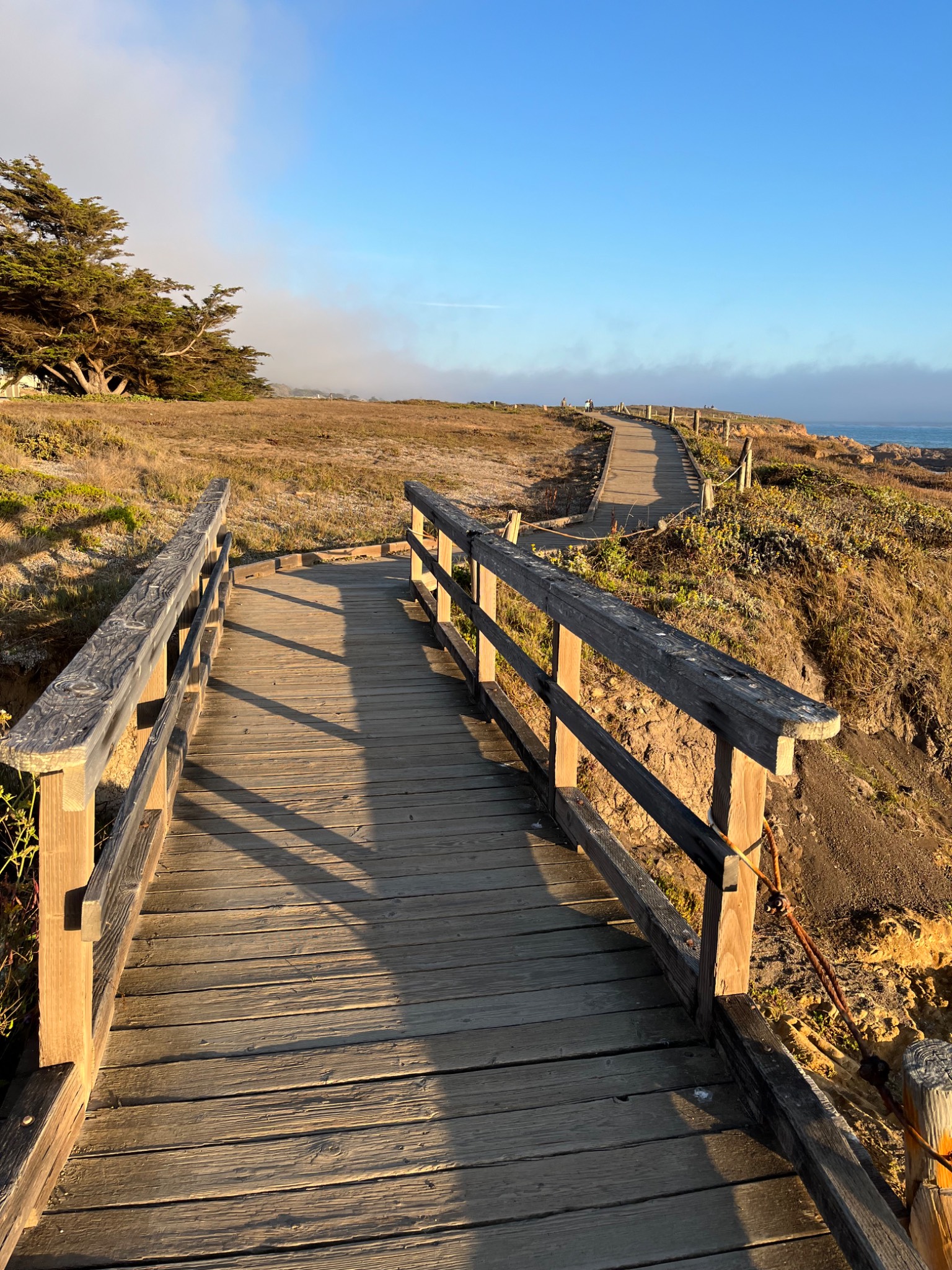 Moonstone Beach