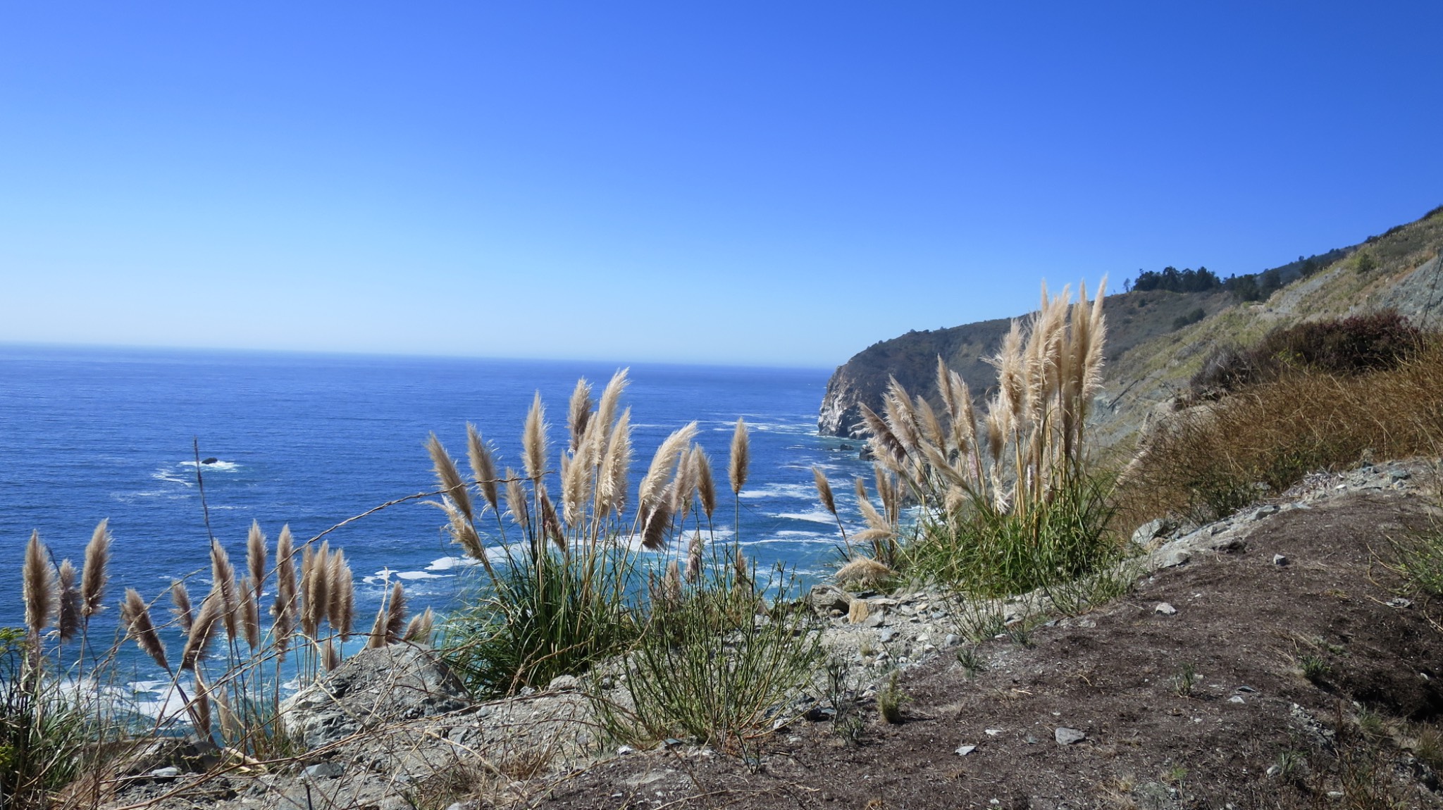 Central Coast