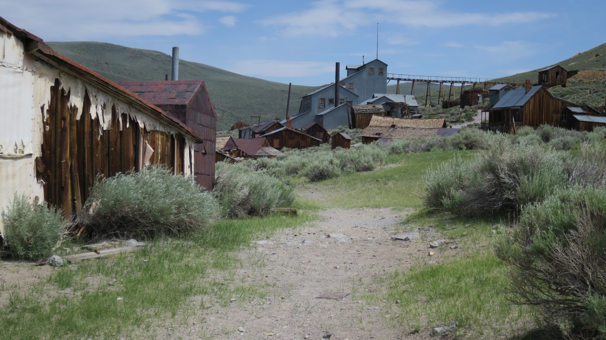 Bodie