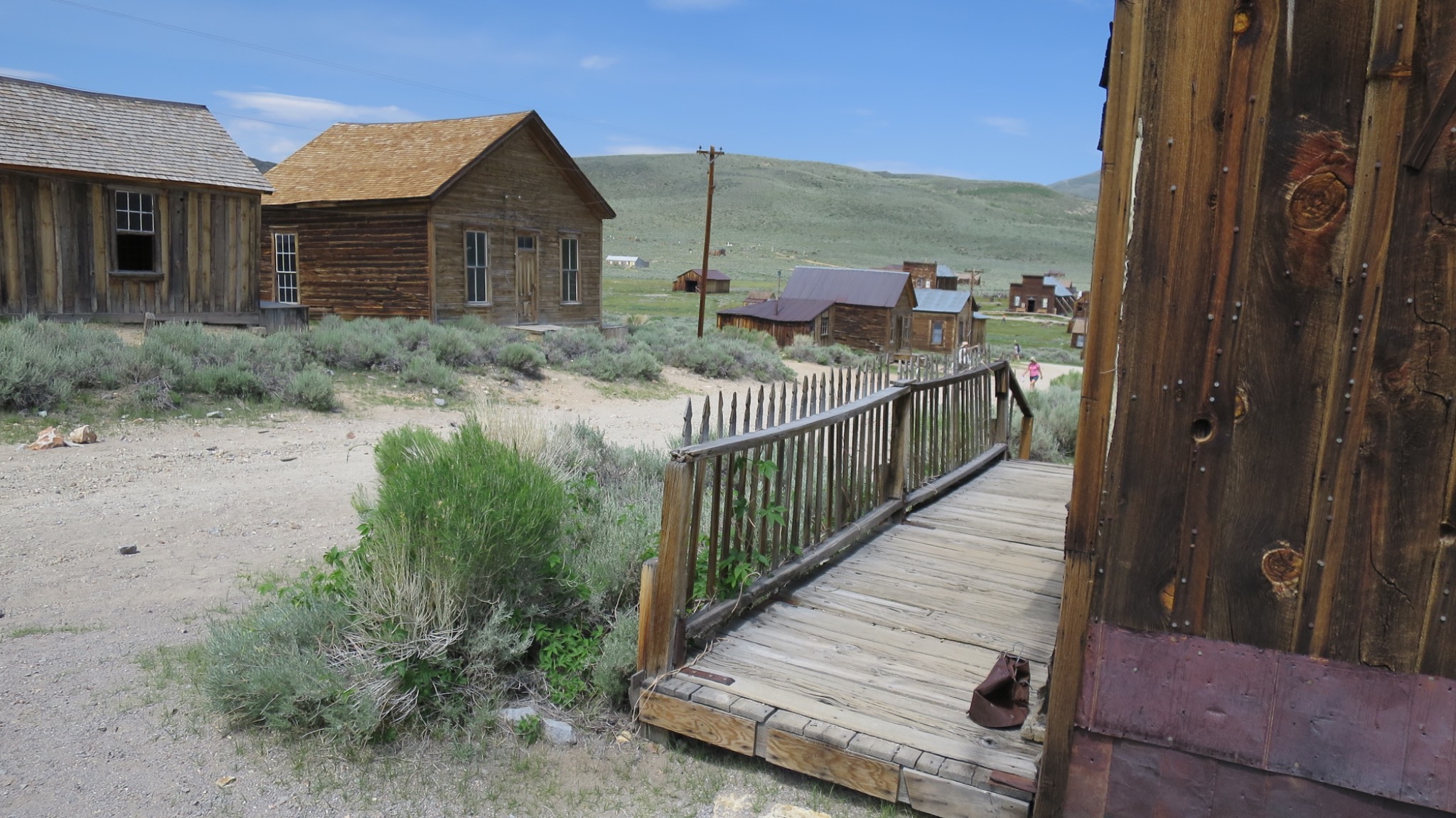 Bodie
