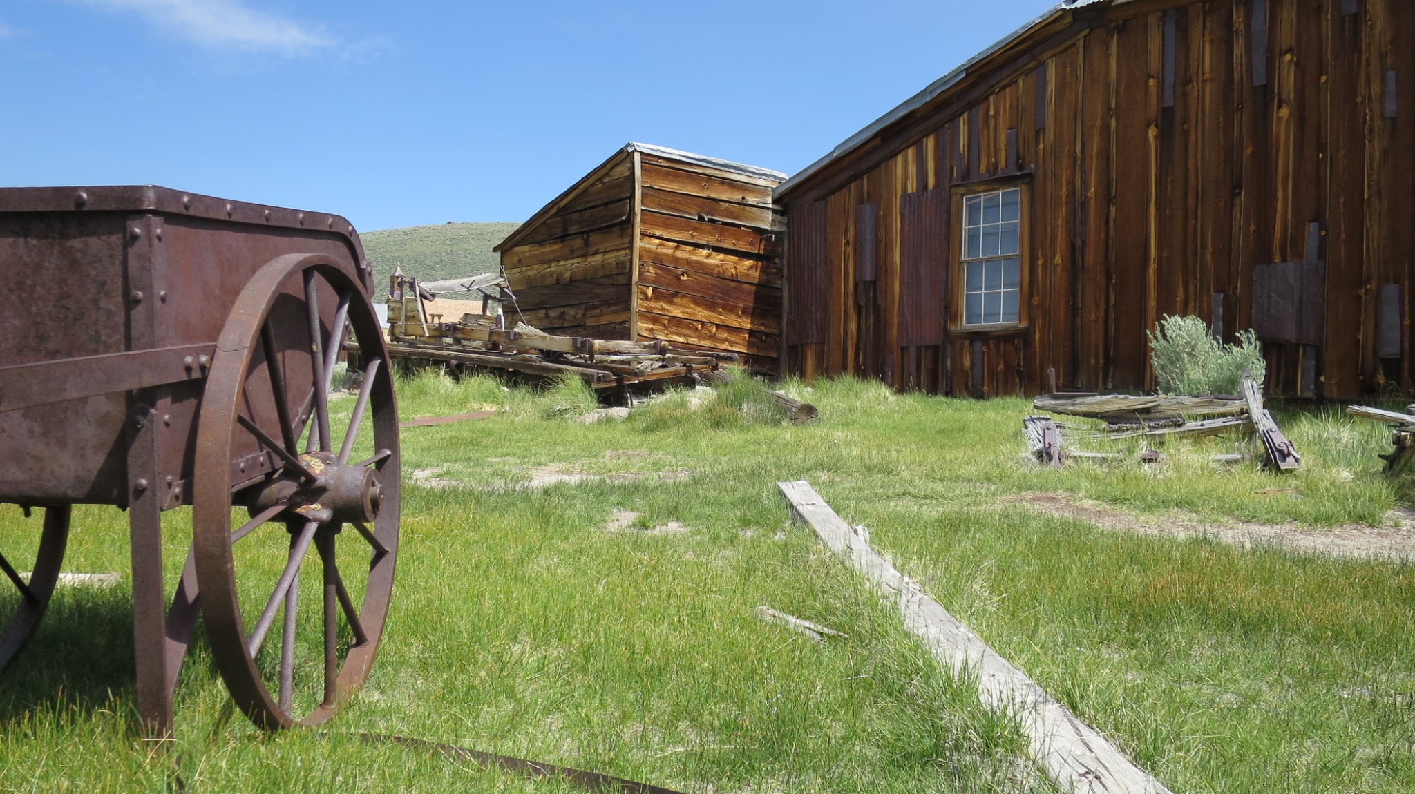 Bodie