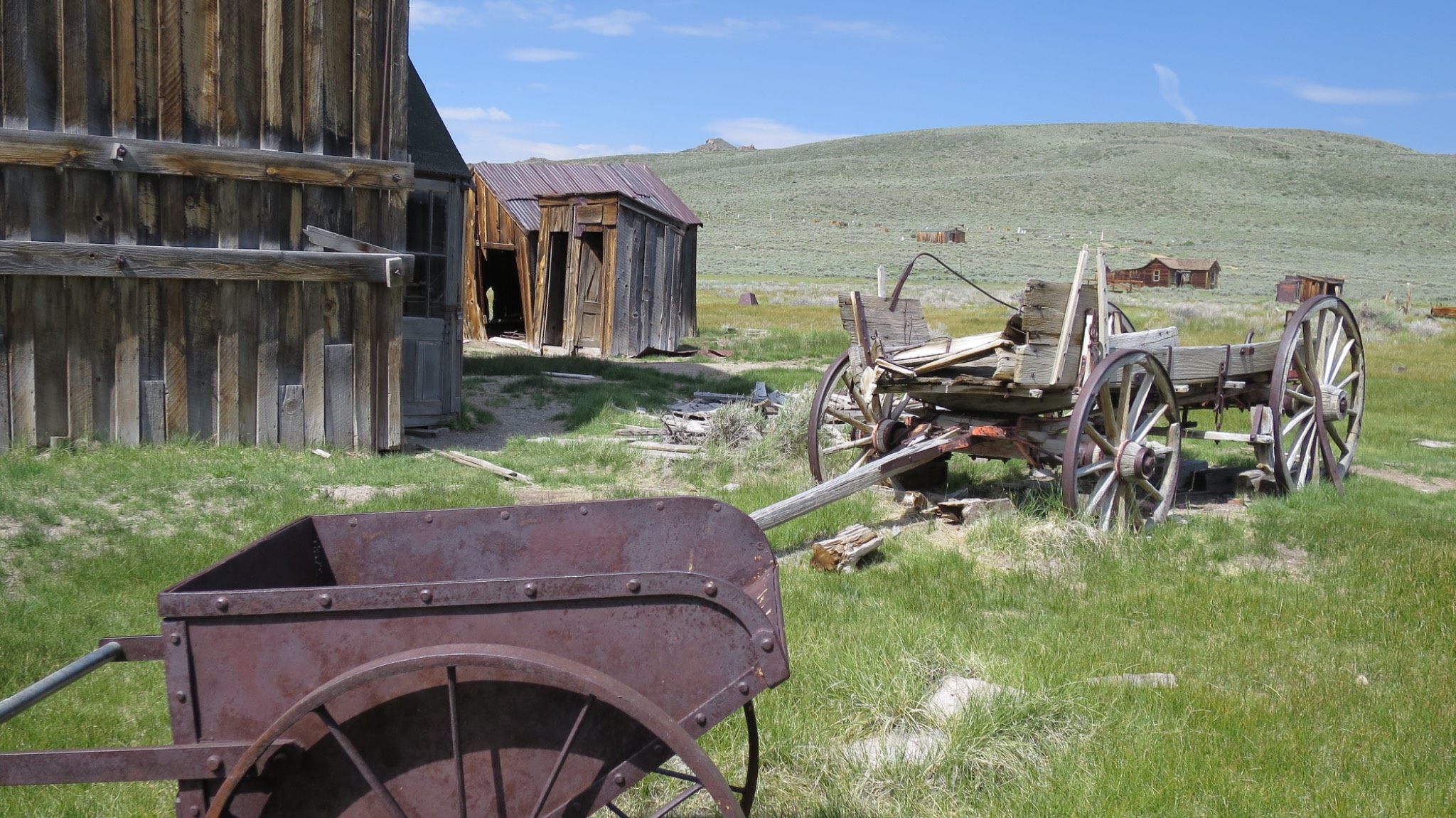 Bodie