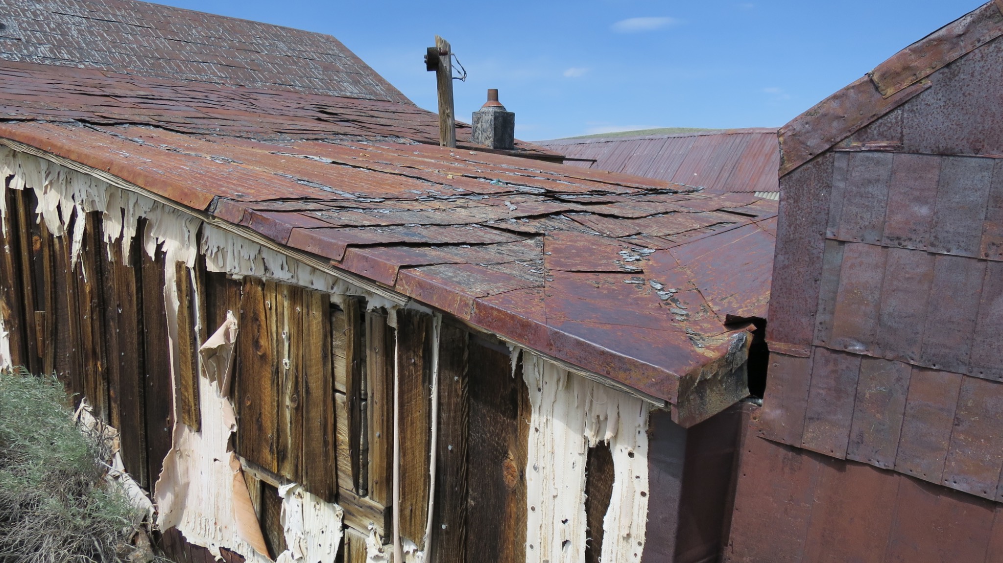 Bodie