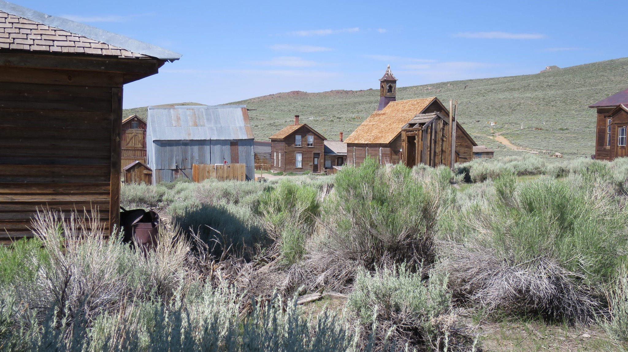 Bodie
