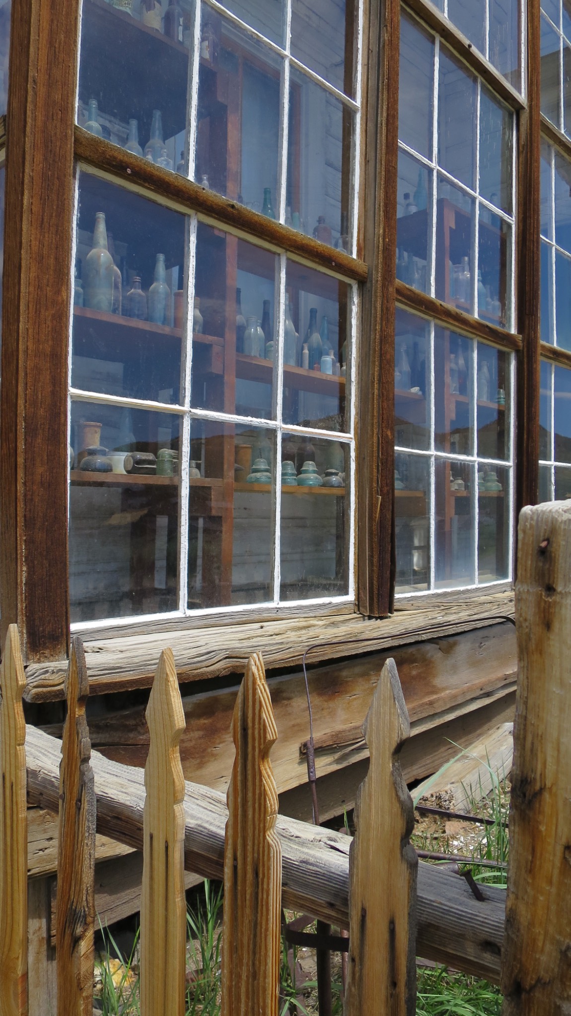Bodie
