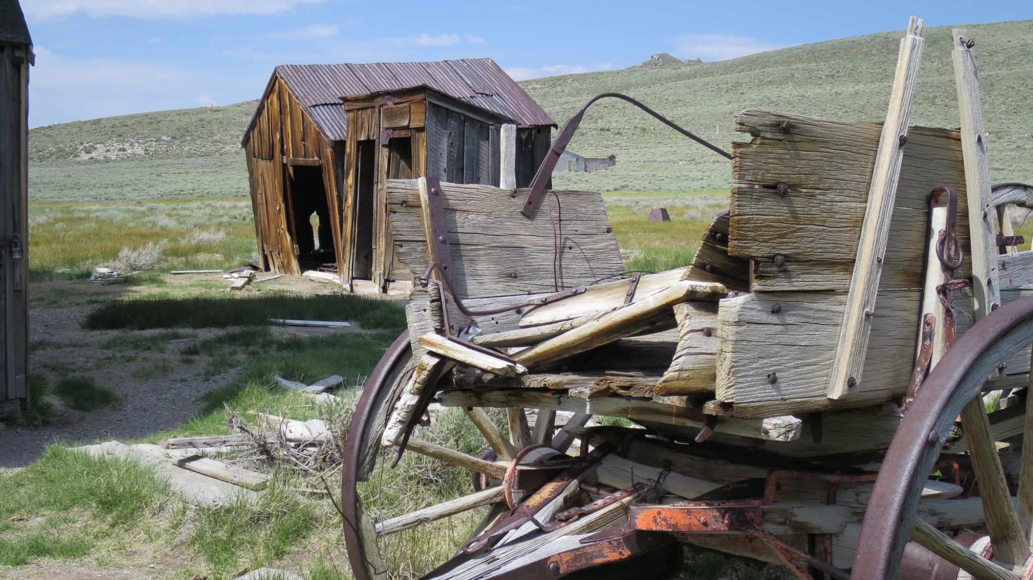 Bodie