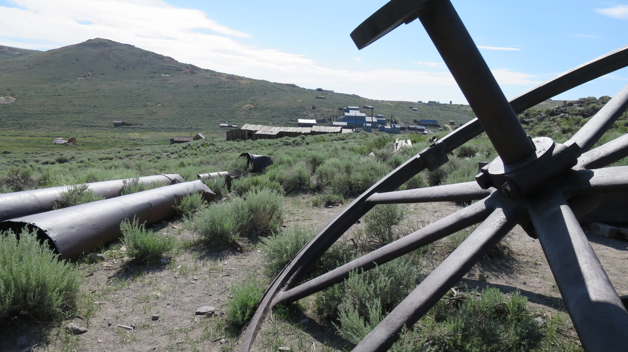 Bodie