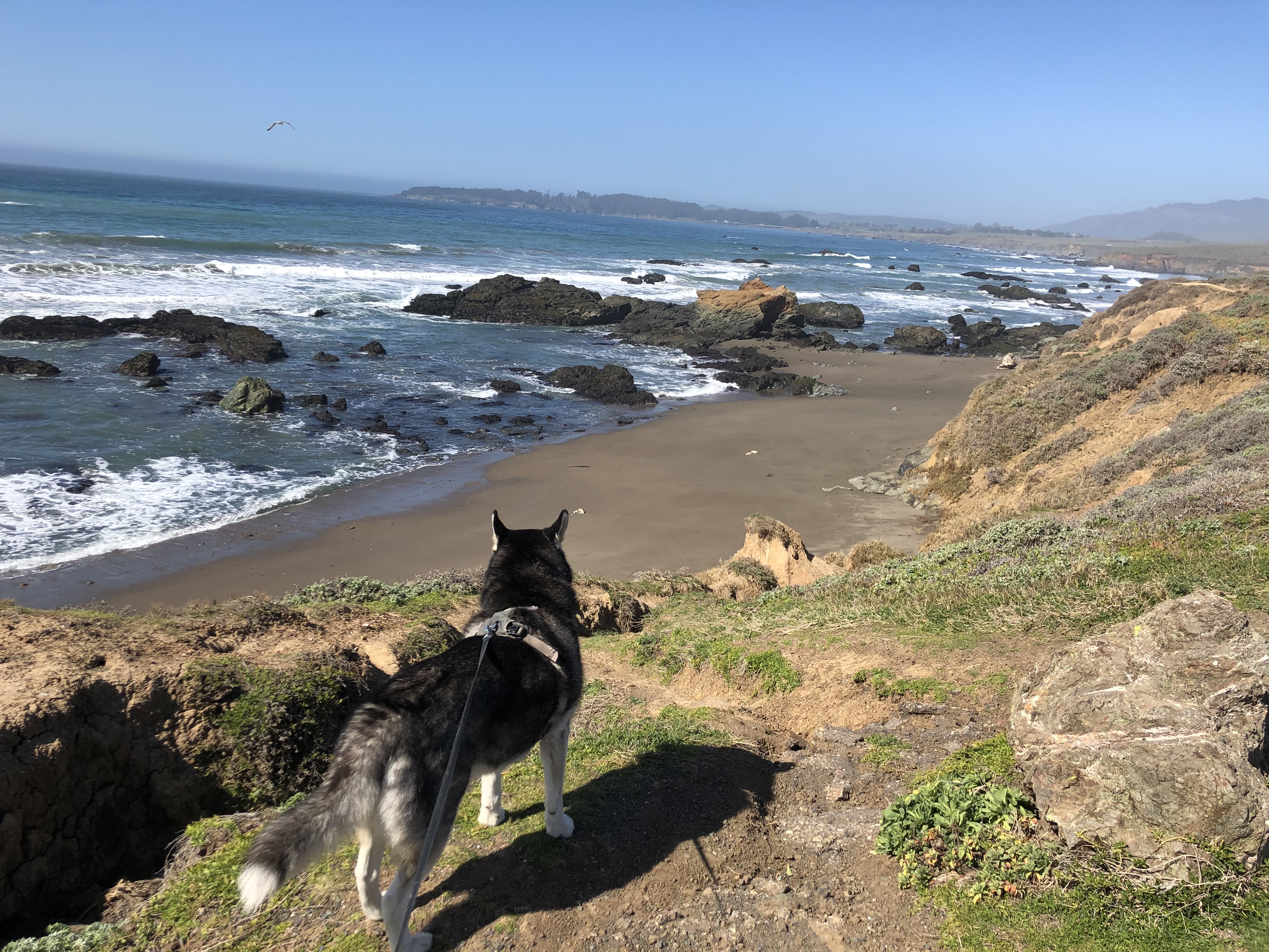 Big Sur