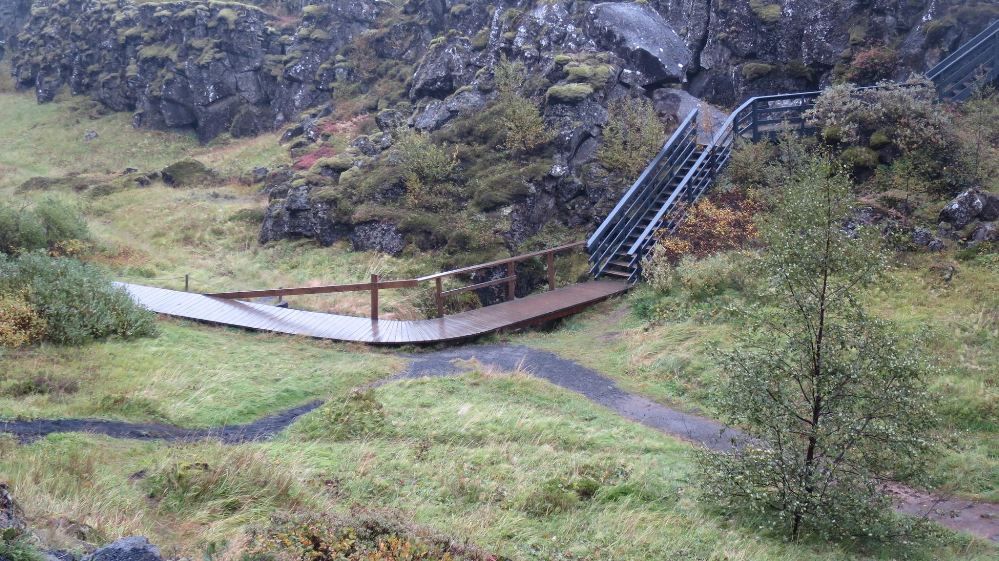 IMG 0424