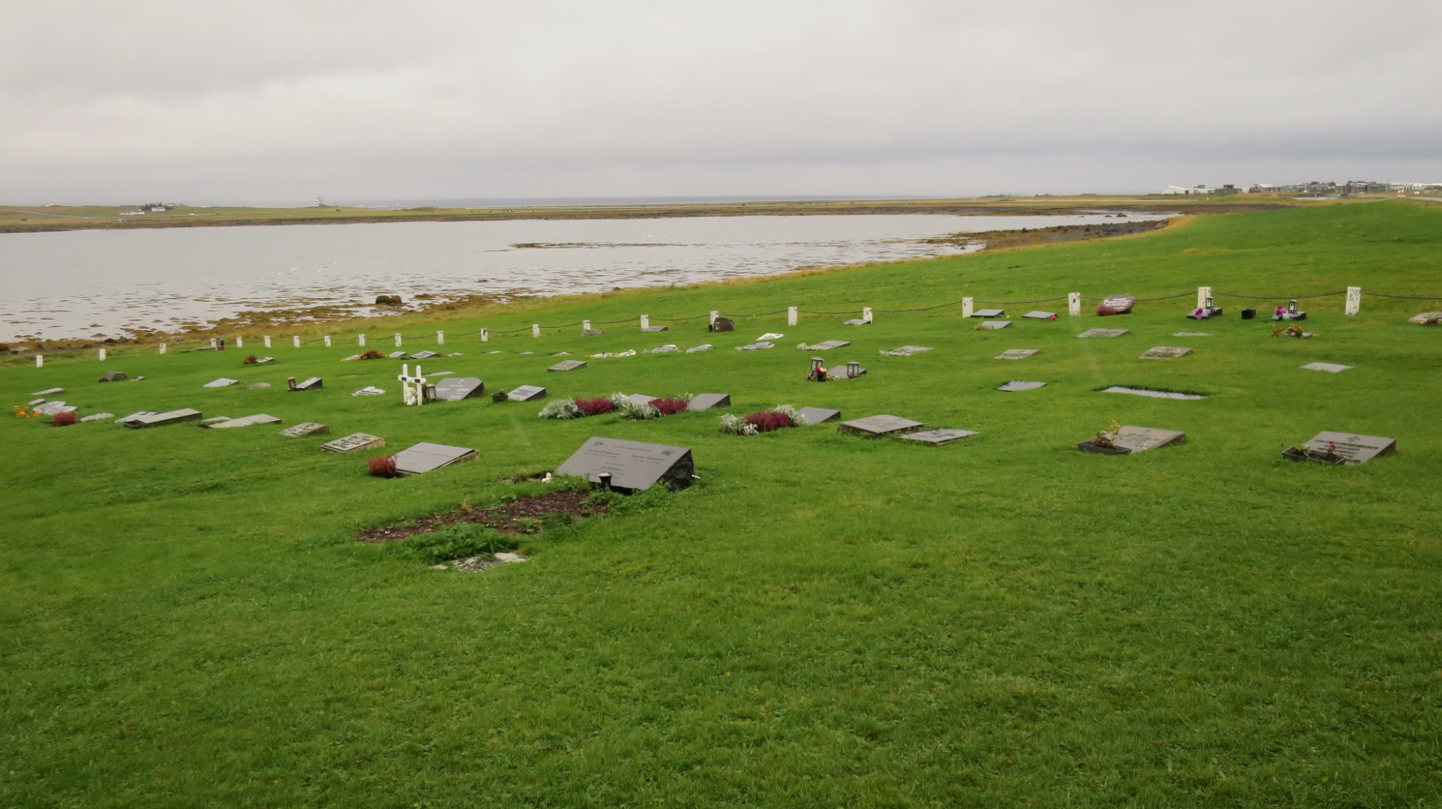 IMG 0011