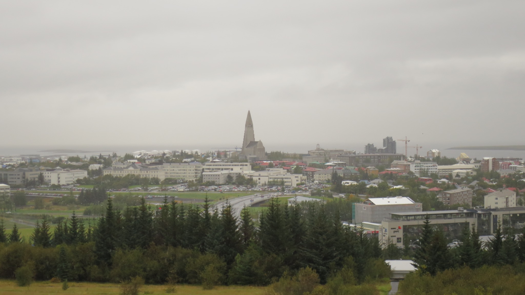 IMG 0020