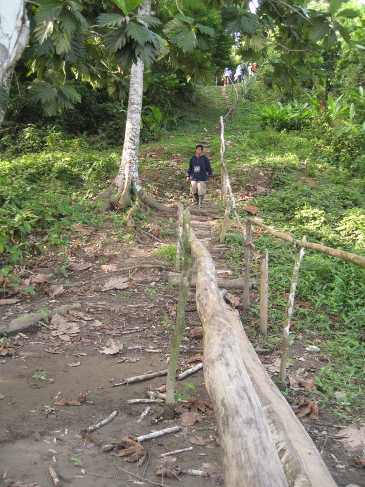 IMG 0645