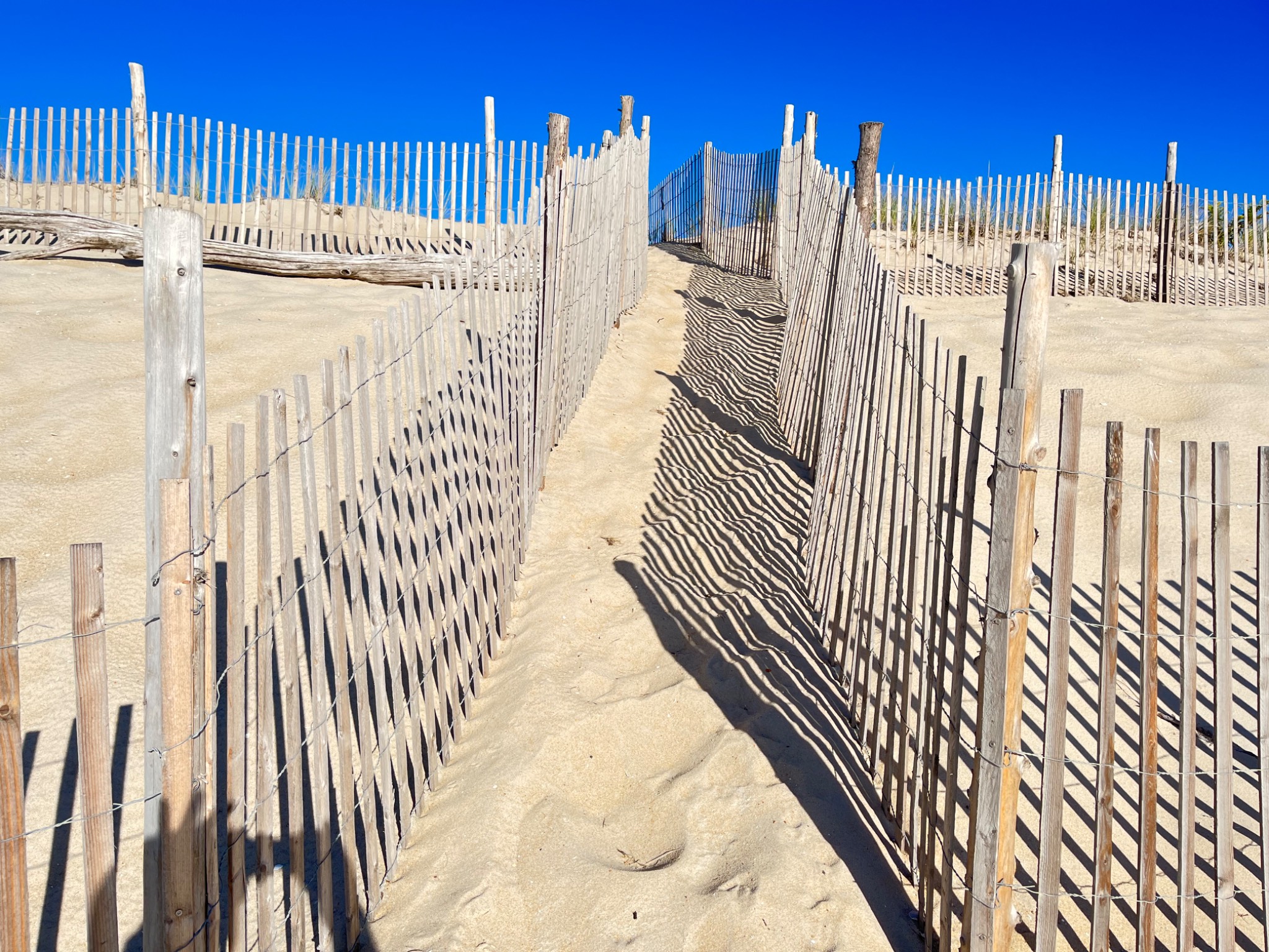 Long Beach Island
