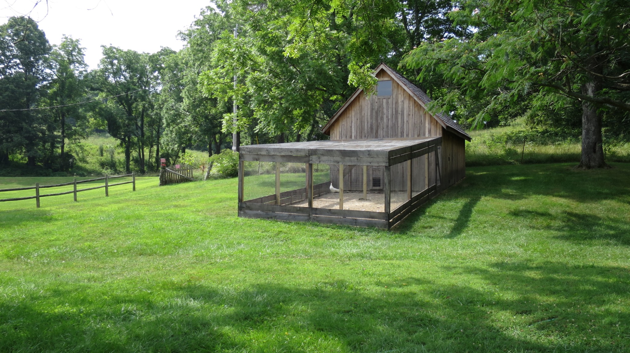 IMG 0522