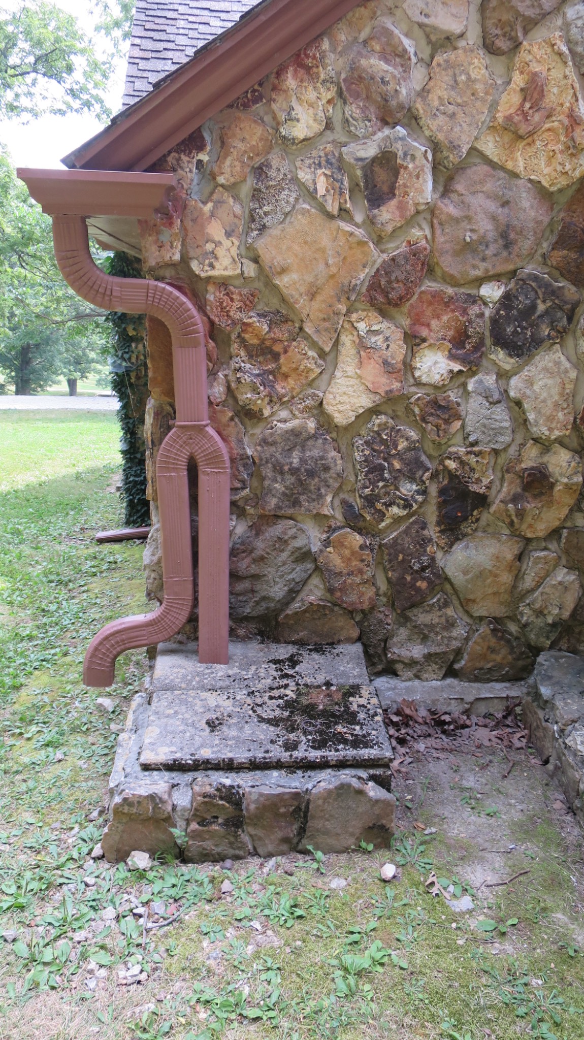 IMG 0534