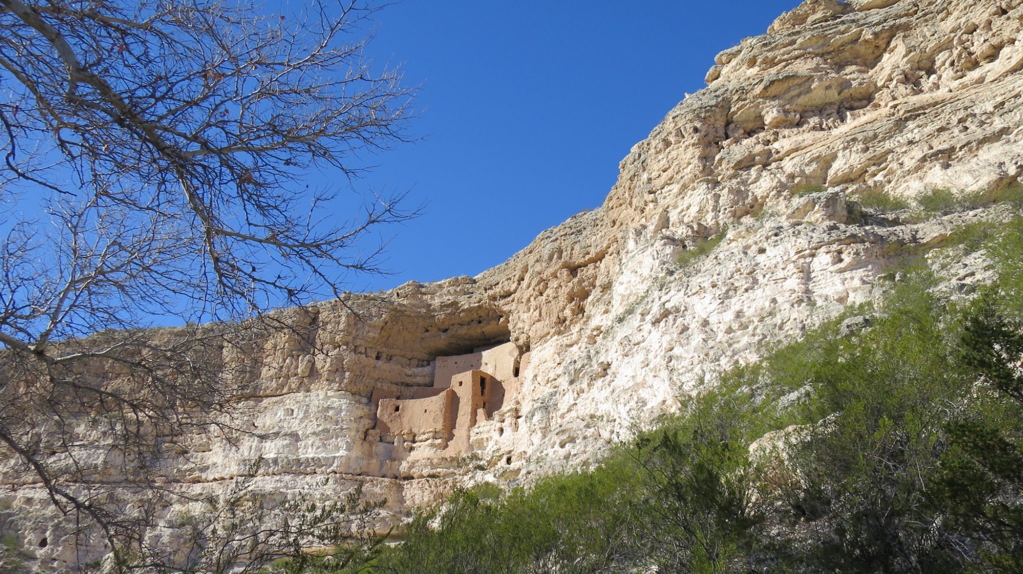IMG 4282