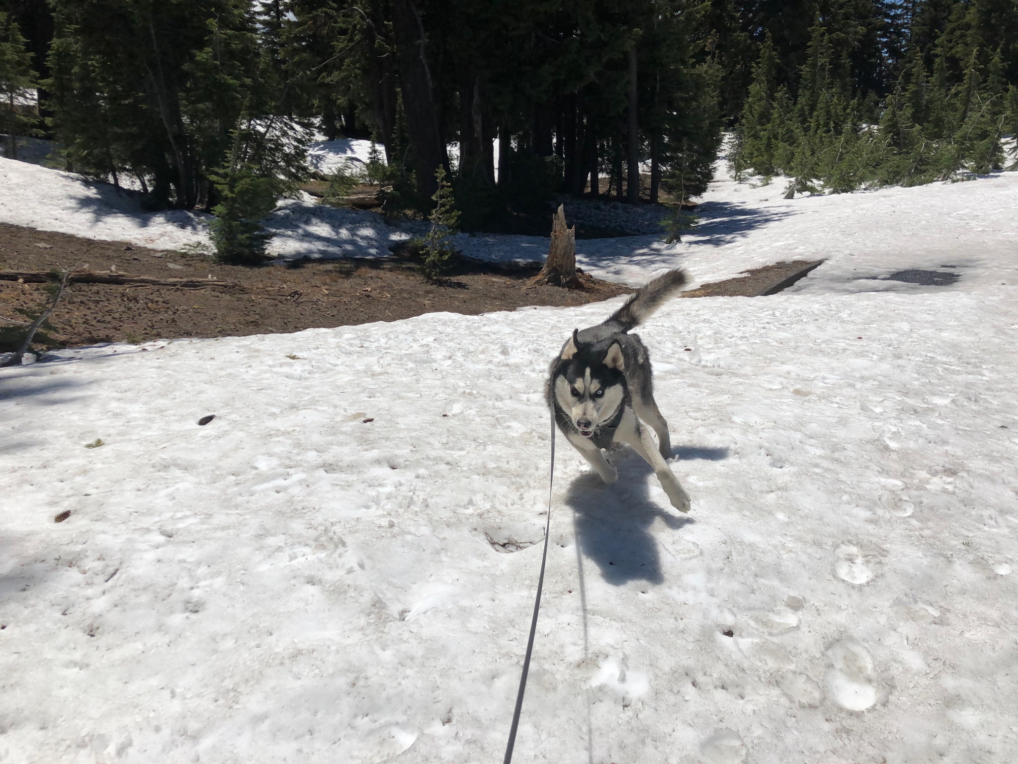Crater lake National Park