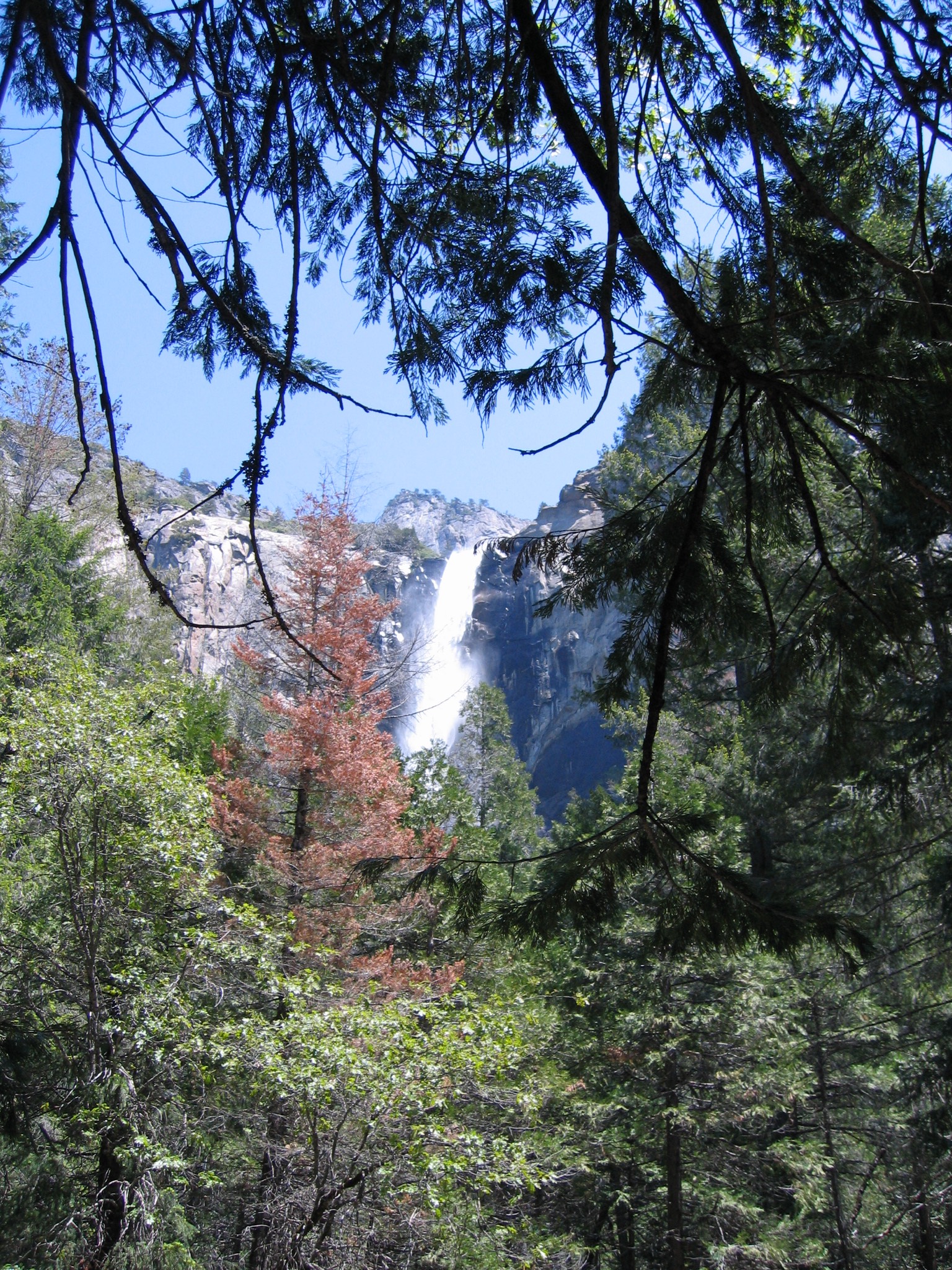 Yosemite National Park
