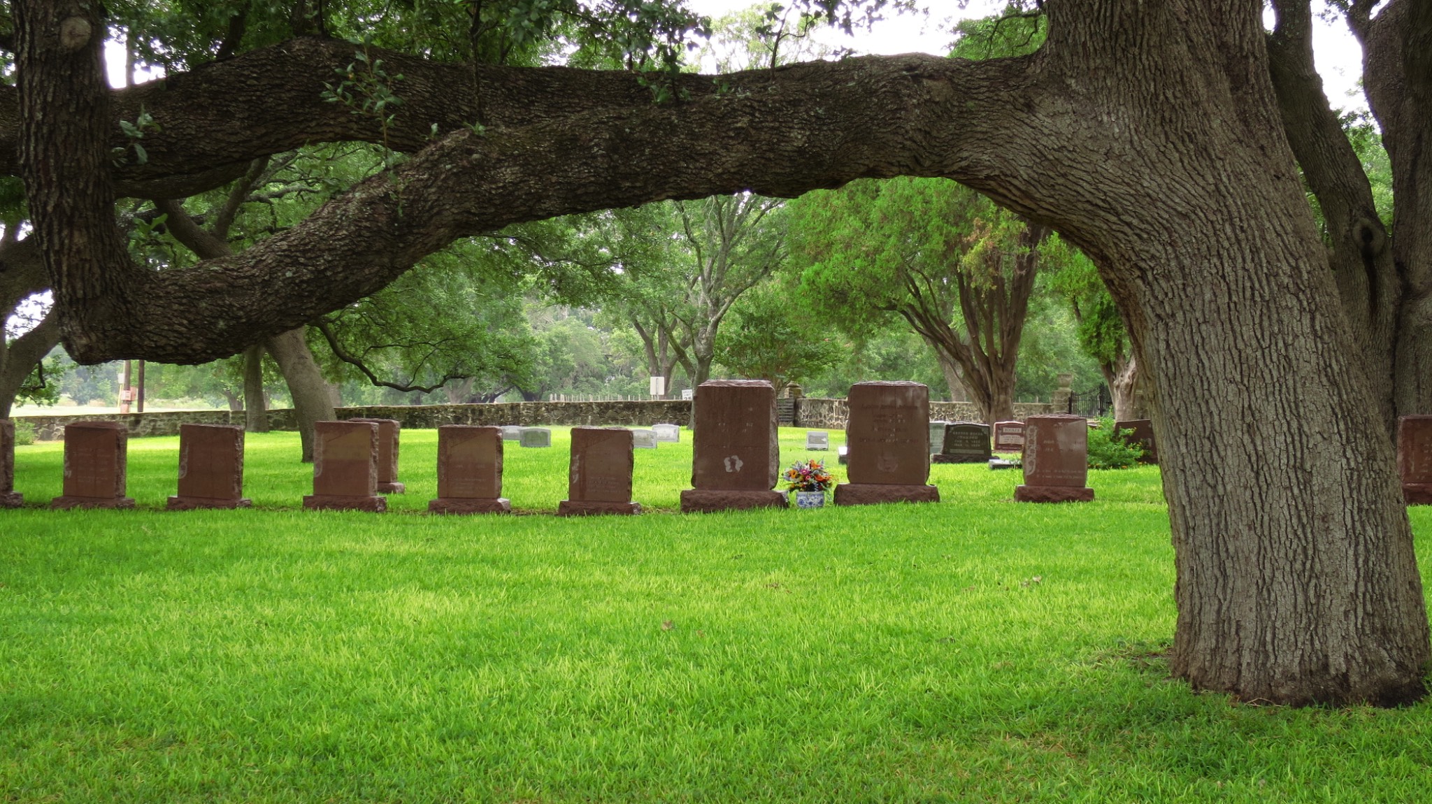 Stonewall, TX