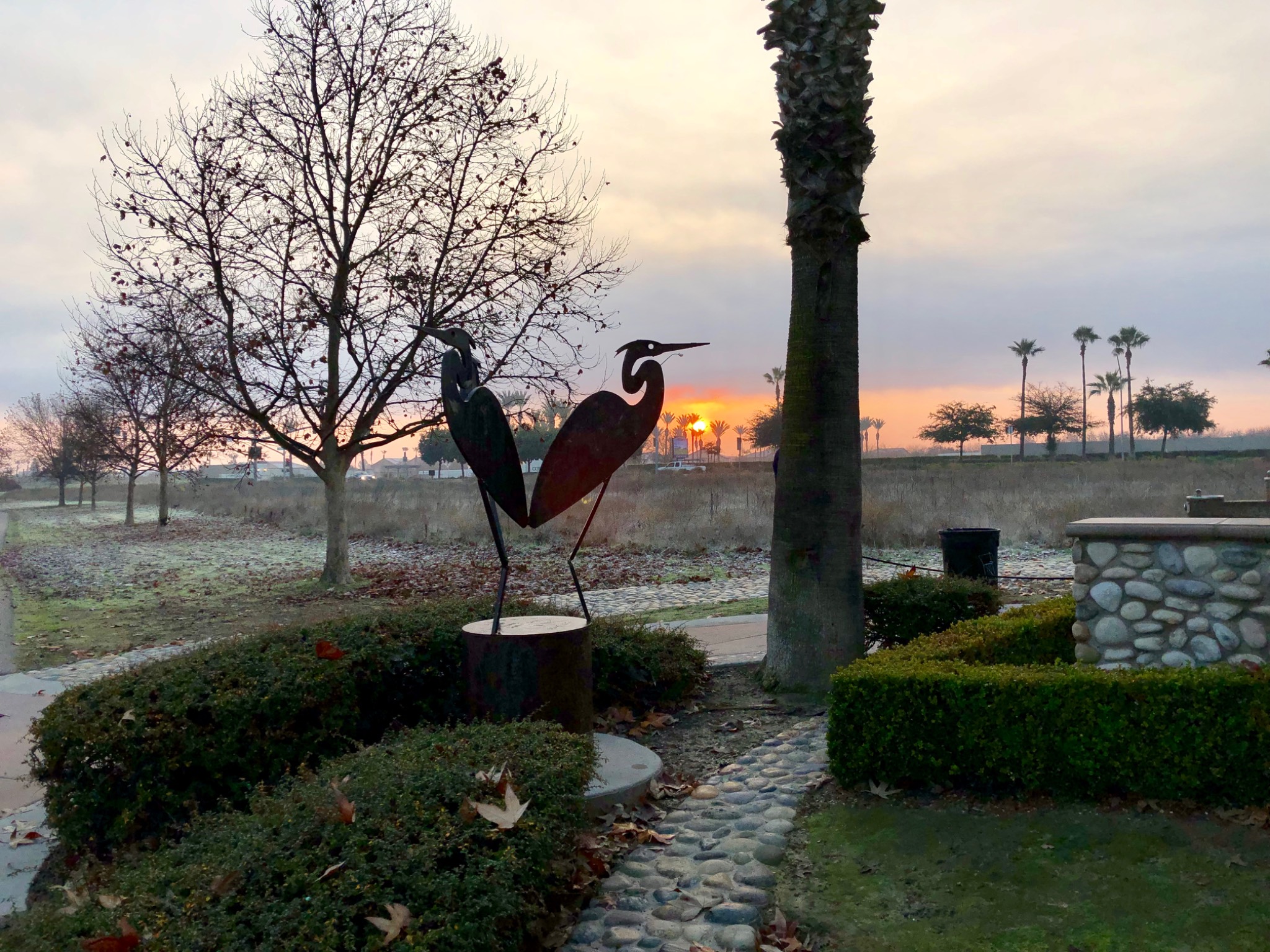 Woodward Park